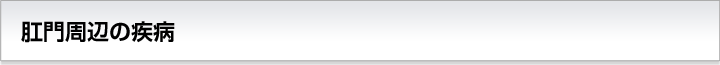 肛門周辺の疾病